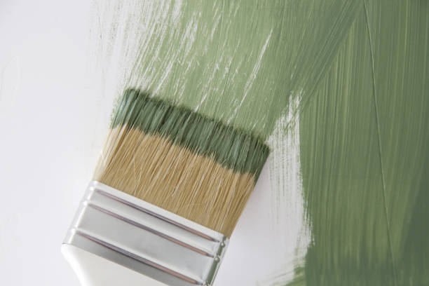 Best Emergency Mold Remediation  in Forreston, IL