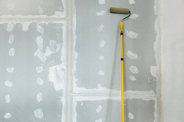 Best Mold Prevention Services  in Forreston, IL