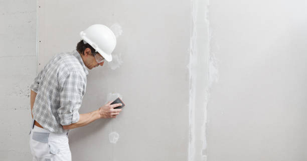 Best Industrial Mold Remediation  in Forreston, IL