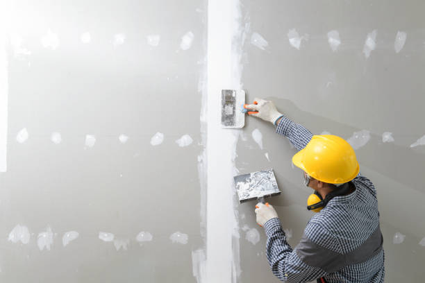 Best Air Quality Testing for Mold Spores  in Forreston, IL