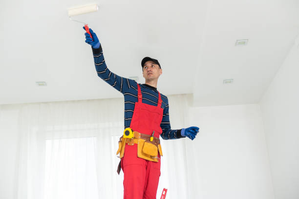 Best Air Quality Testing for Mold Spores  in Forreston, IL