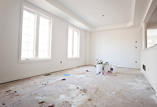 Best Basement Mold Removal  in Forreston, IL