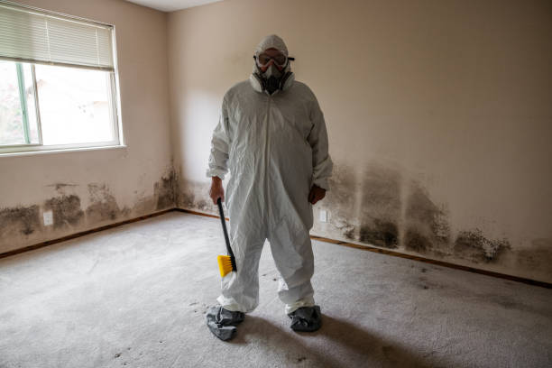 Best Post-Remediation Verification Testing  in Forreston, IL