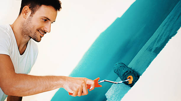 Best Water Damage & Mold Remediation  in Forreston, IL
