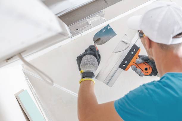 Best Asbestos and Lead Testing During Mold Inspection  in Forreston, IL
